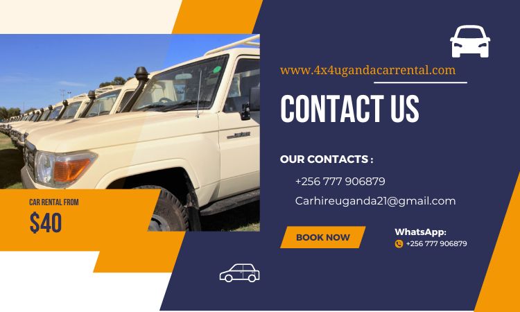 Contact Us 4x4 Uganda Car Rental for Car Hire Services