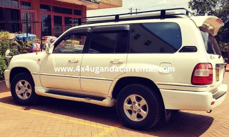 Land Cruiser V8