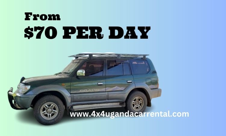 Uganda Car Rental Rates